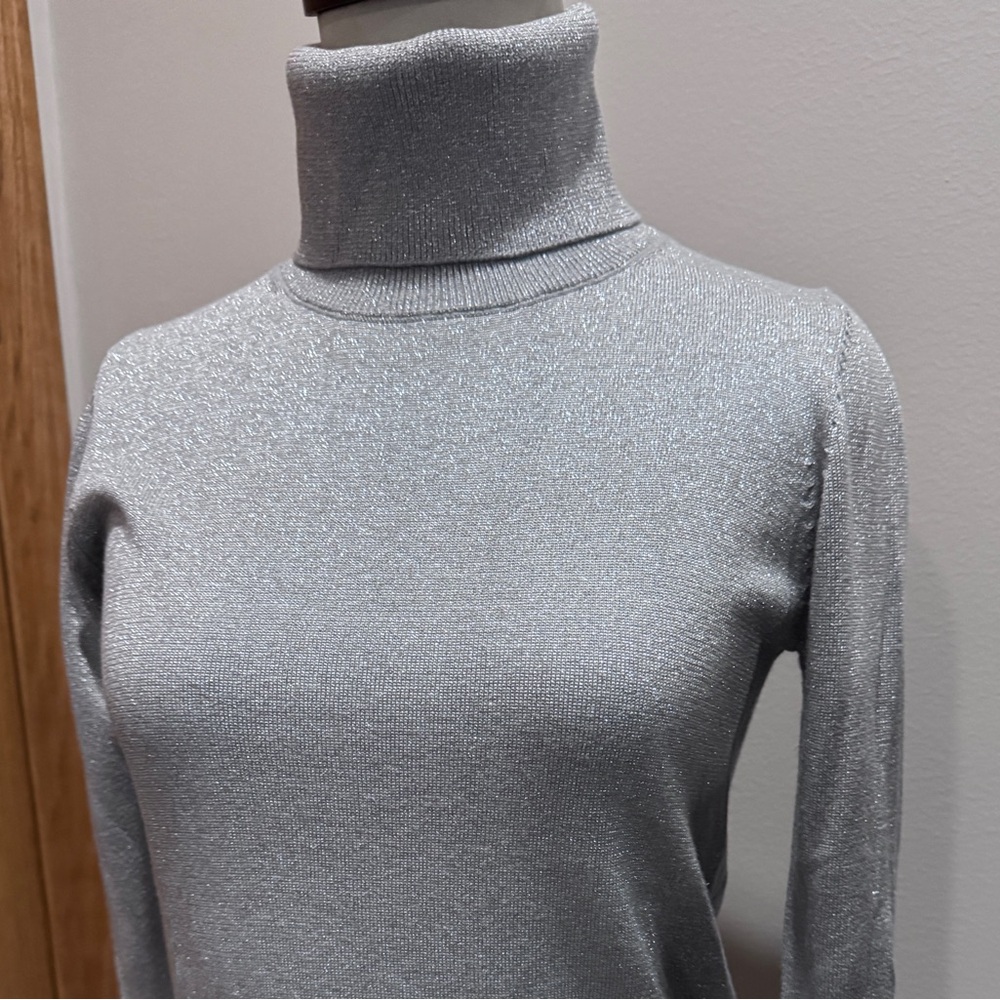 Ann Taylor shimmer shimmer turtle neck XS